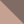 Sparrow Rose Tan